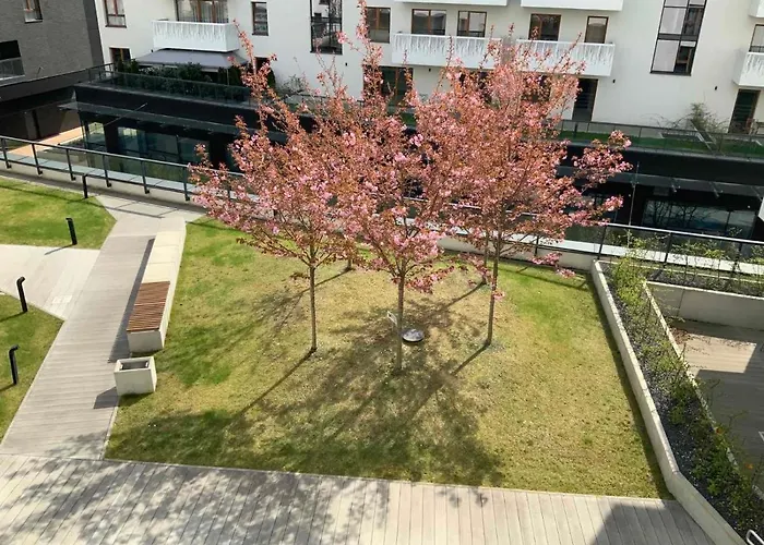 Z Kominkiem W Sercu Wroclawia *