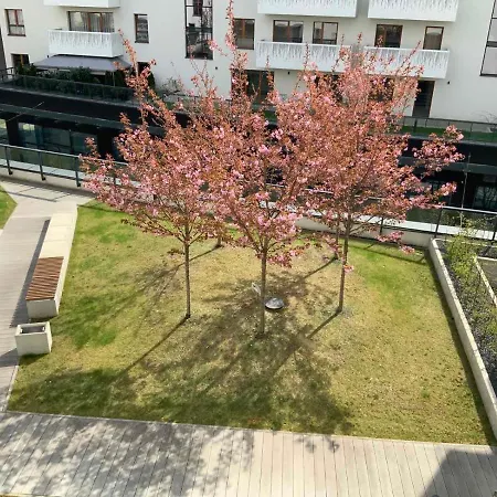 Z Kominkiem W Sercu Wroclawia *